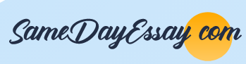 SameDayEssay logo